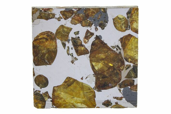 Brahin Pallasite Meteorite ( g) Slice - Belarus #351940